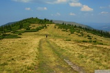 I dále jdeme po plochém hřebení mezi travou a jalovcem. Sem tam zahlédneme smrkový les.