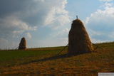 Snopy cestou ze sedla Vârtopu do krasové oblasti Bihoru.