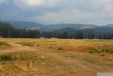 Planina Padiş.