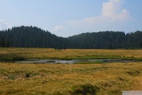 Planina Padiş, je na ní řada závrtů, místy naplněných vodou.