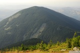 Vf. Plaiului (1702m)