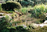 Kanazawa, zahrada Kenrokuen