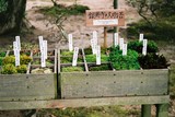 Kjóto, Stříbrný chrám (Ginkaku-ji), velmi důležité mechy