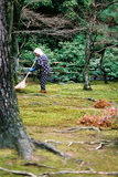 Kjóto, Zlatý chrám (Kinkaku-ji), zahradnice