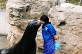 10.3. 2007, Ishikawská ZOO, lachtan s cvičitelkou