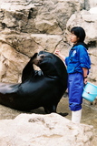 10.3. 2007, Ishikawská ZOO, lachtan s cvičitelkou