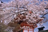 5.4. 2007 - Kjóto, chrám Kiyomizu-dera