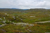 Hardangervidda.