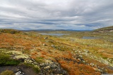 Hardangervidda.