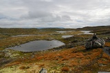 Hardangervidda.