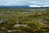 Hardangervidda.