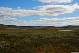 Hardangervidda.