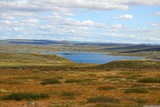 Hardangervidda.