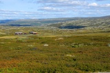 Hardangervidda.